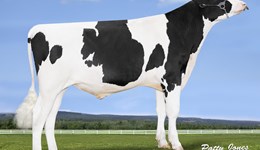 New blood in the rankings for spring and autumn block calvers